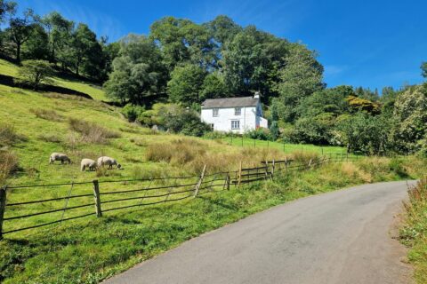 Farm Road Surfacing Surrey