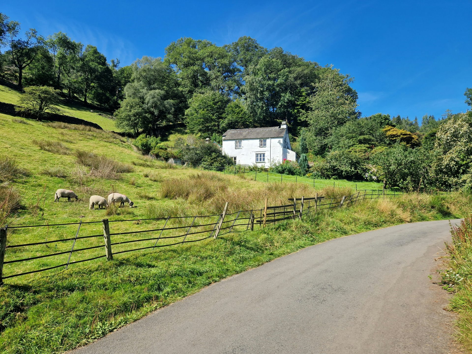 Farm road contractors Surrey